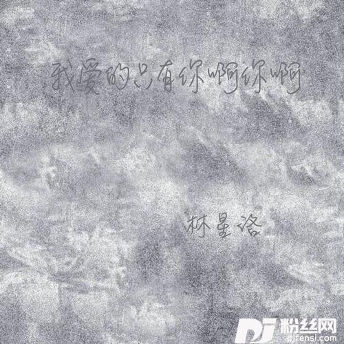 我爱的只有你啊你啊