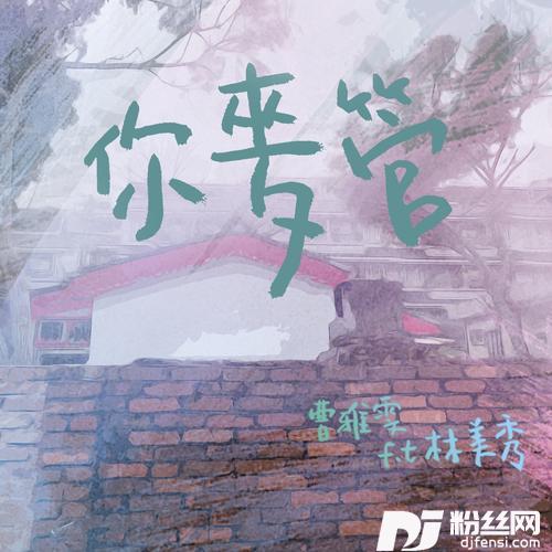 你麦管