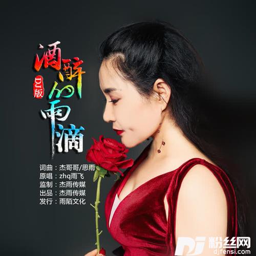 酒醉的雨滴DJ版