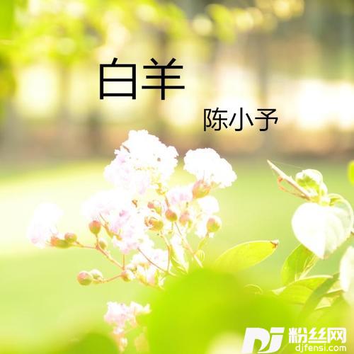 十九岁