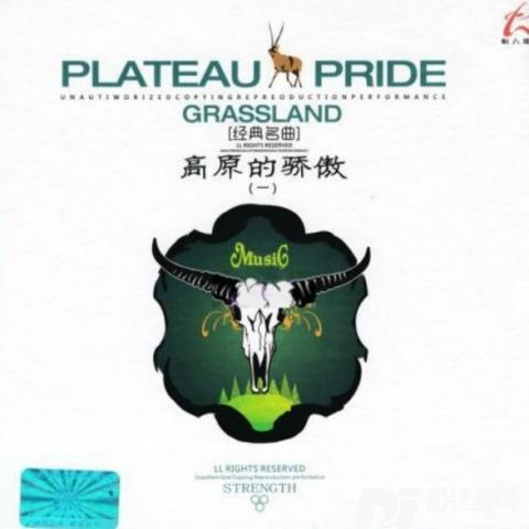 风中的菩提单曲
