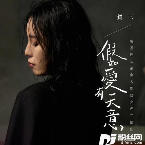 假如爱有天意的专辑