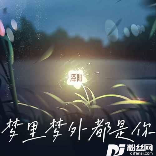 梦里梦外都是你的专辑