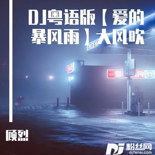 爱的暴风雨（DJ粤语版）cover:梦涵的专辑