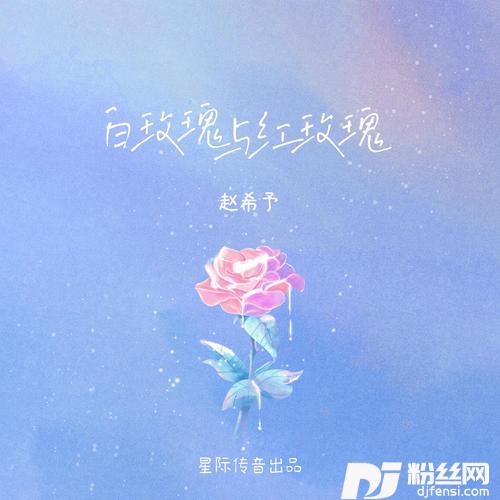 白玫瑰与红玫瑰