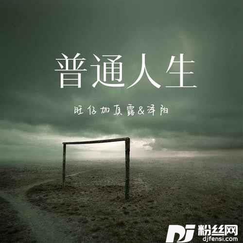 普通人生的专辑