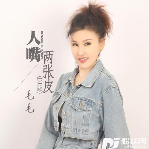人嘴两张皮DJ版