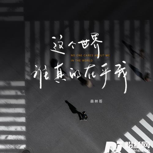 这个世界谁真的在乎我的专辑