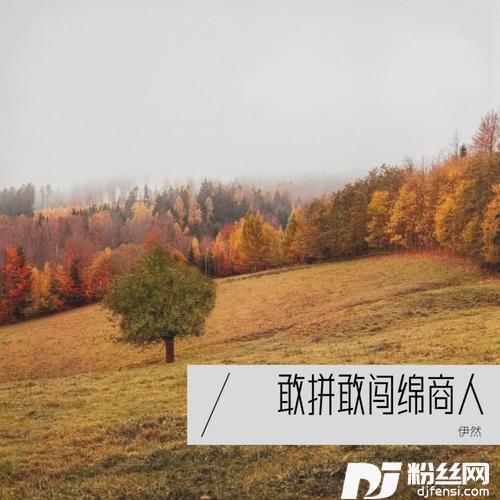 敢拼敢闯绵商人的专辑