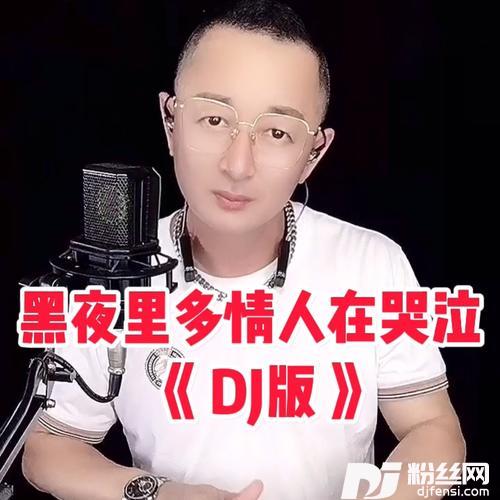 黑夜里多情人在哭泣《DJ版》cover:盘锦兵哥的专辑