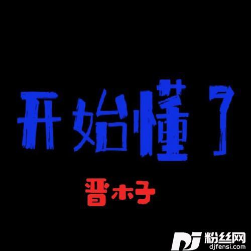 开始懂了DJ版