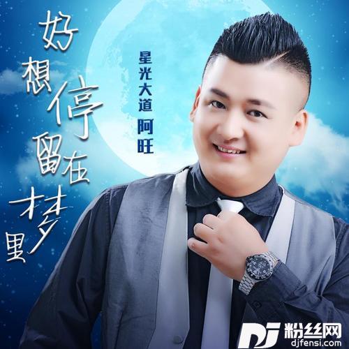 好想停留在梦里的专辑