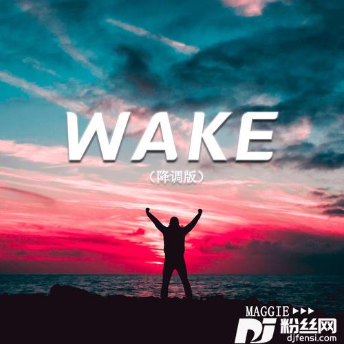 Wake降调版的专辑