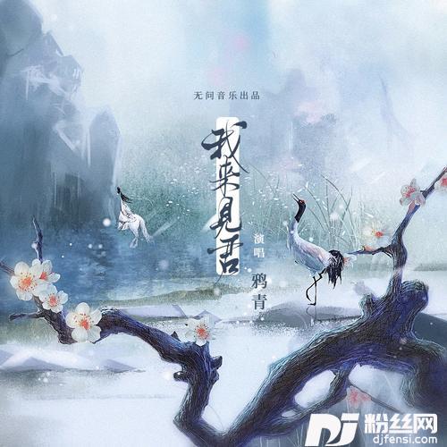 我来见君
