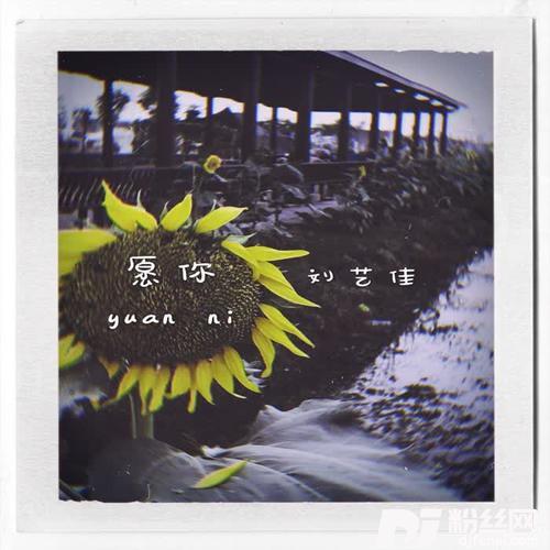 愿你