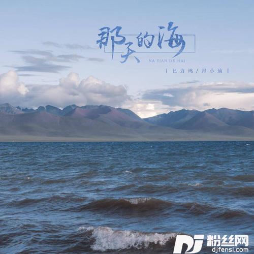 那天的海