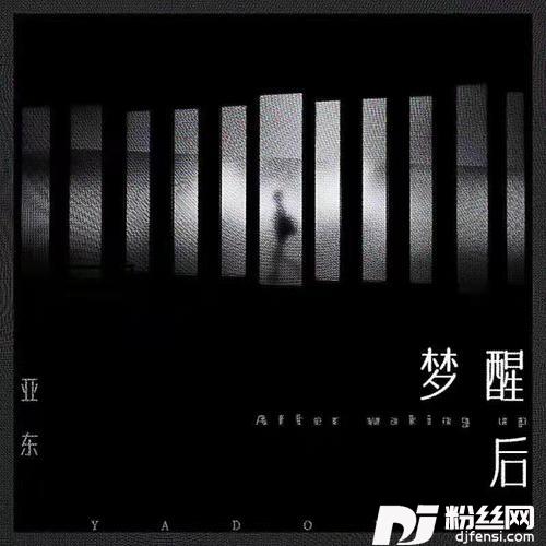 梦醒后的专辑