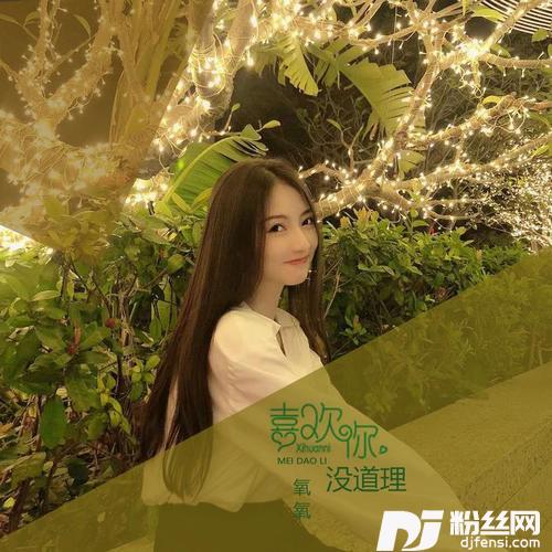 喜欢你没道理的专辑