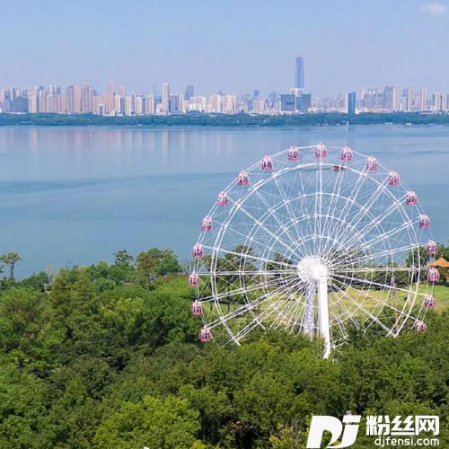 烟火武汉