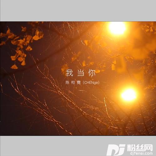 我当你