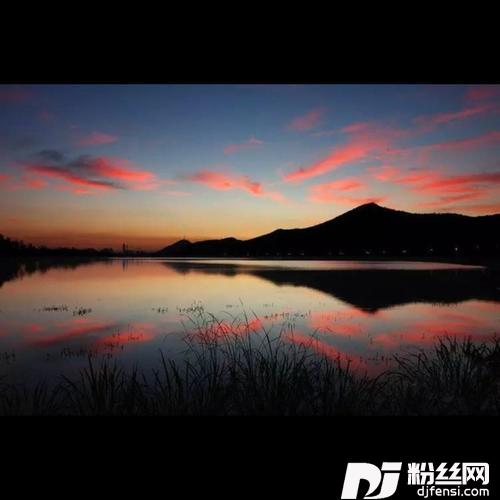 爱上你给的痛cover:万芳