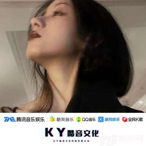 是谁敲打我的窗抖音版