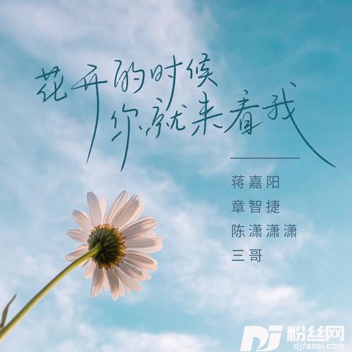 花开的时候你就来看我的专辑