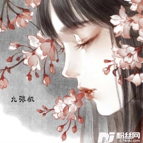 九张机的专辑