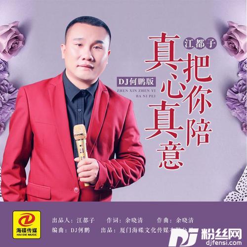真心真意把你陪DJ何鹏版