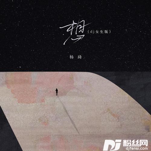 想DJ女生版的专辑