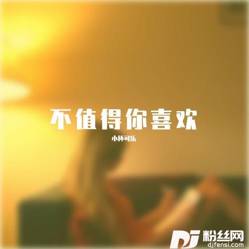 不值得你喜欢（抒情版）