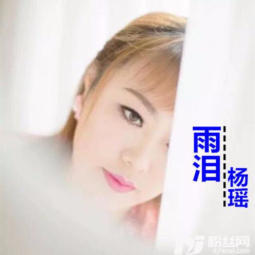 雨泪的专辑