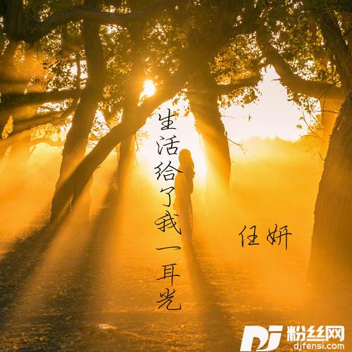 生活给了我一耳光