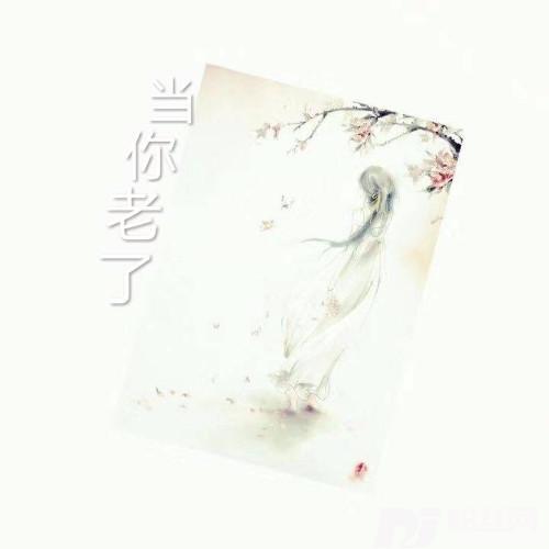 花婆婆（小美版）其他