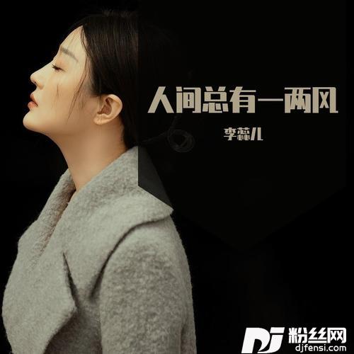 人间总有一两风DJ默涵版