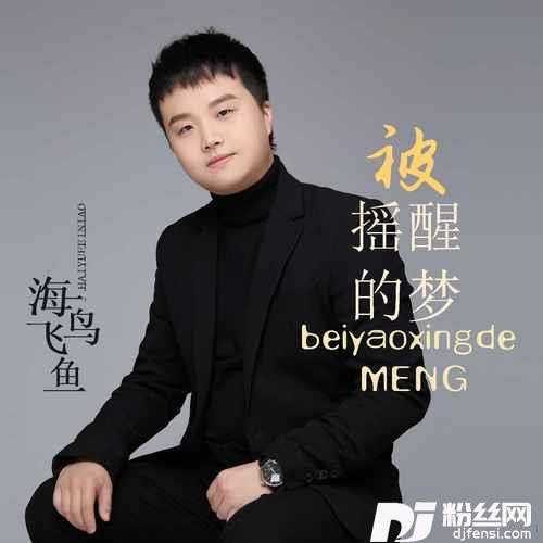 被摇醒的梦男声独唱版的专辑