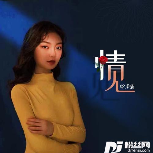 情见（DJ加速版）的专辑