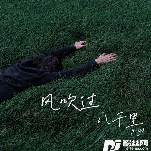风吹过八千里cover:苏星婕的专辑