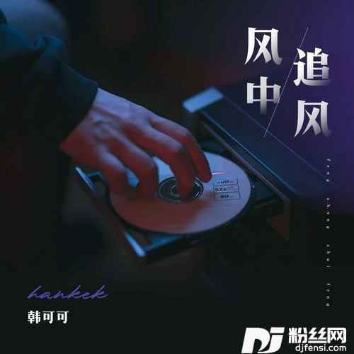 风中追风DJR7版