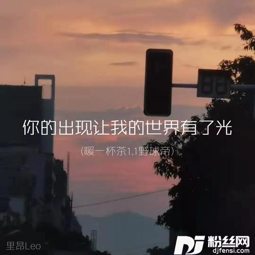 你的出现让我的世界有了光暖一杯茶1.1野球帝的专辑