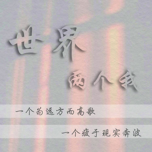 世界两个我0.8x