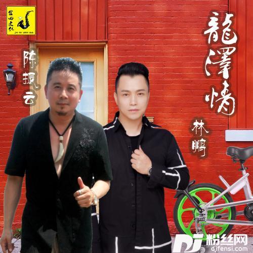 龙泽情的专辑