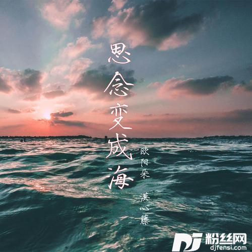思念变成海