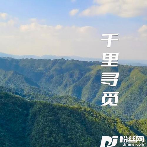 千里寻觅