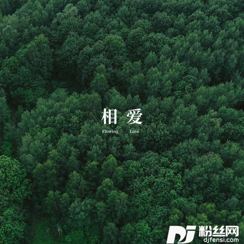 相爱的专辑