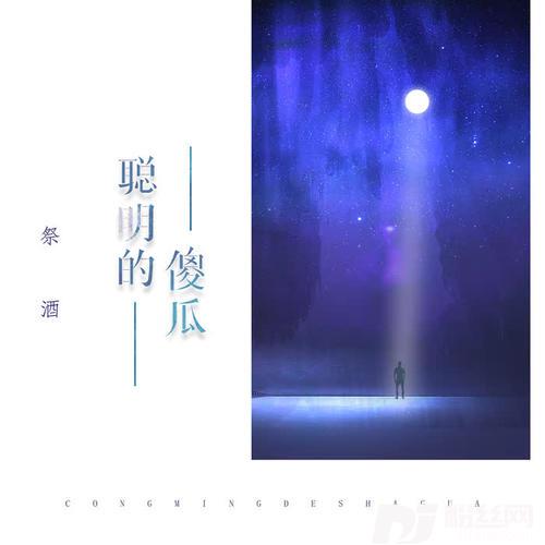 聪明的傻瓜的专辑