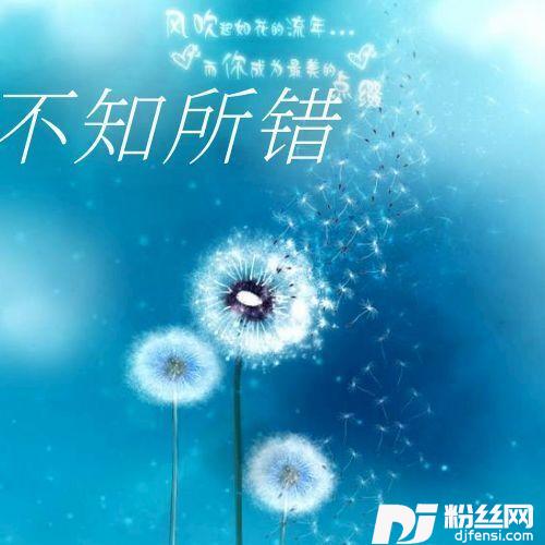 不知所措的专辑