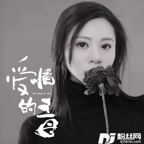 爱情的毒DJ何鹏版