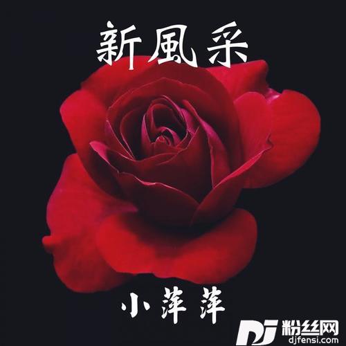 甘愿无人知