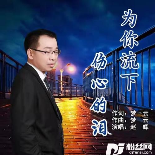 为你流下伤心的泪DJ版